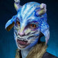Radioactive Sclera Contacts