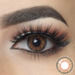 3 Tone Honey Coloured Contacts | Yearly