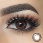 3 Tone Brown Coloured Contacts | Yearly