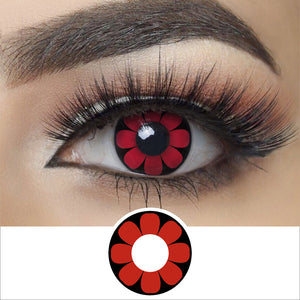 Red Daisy Contacts