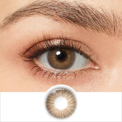 OMG Brown Coloured Contacts | 6 Months