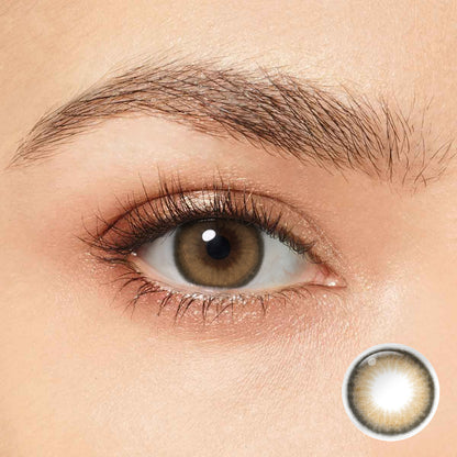 NILS Brown Coloured Contacts | 6 Months
