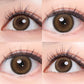 NILS Brown Coloured Contacts | 6 Months