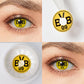 Borussia Dortmund Contacts